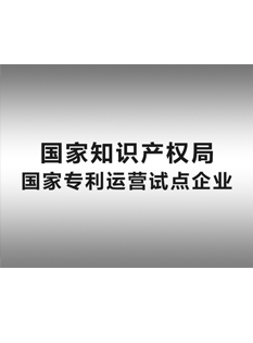 2-0-1-6年，-精英知識產(chǎn)權(quán)運(yùn)營服務(wù)公司被國家知識產(chǎn)權(quán)局確定為“-國家專利運(yùn)營試點(diǎn)企業(yè)”；.png