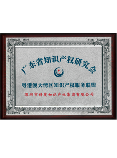 2020年，粵港澳知識(shí)產(chǎn)權(quán)服務(wù)聯(lián)盟；.png